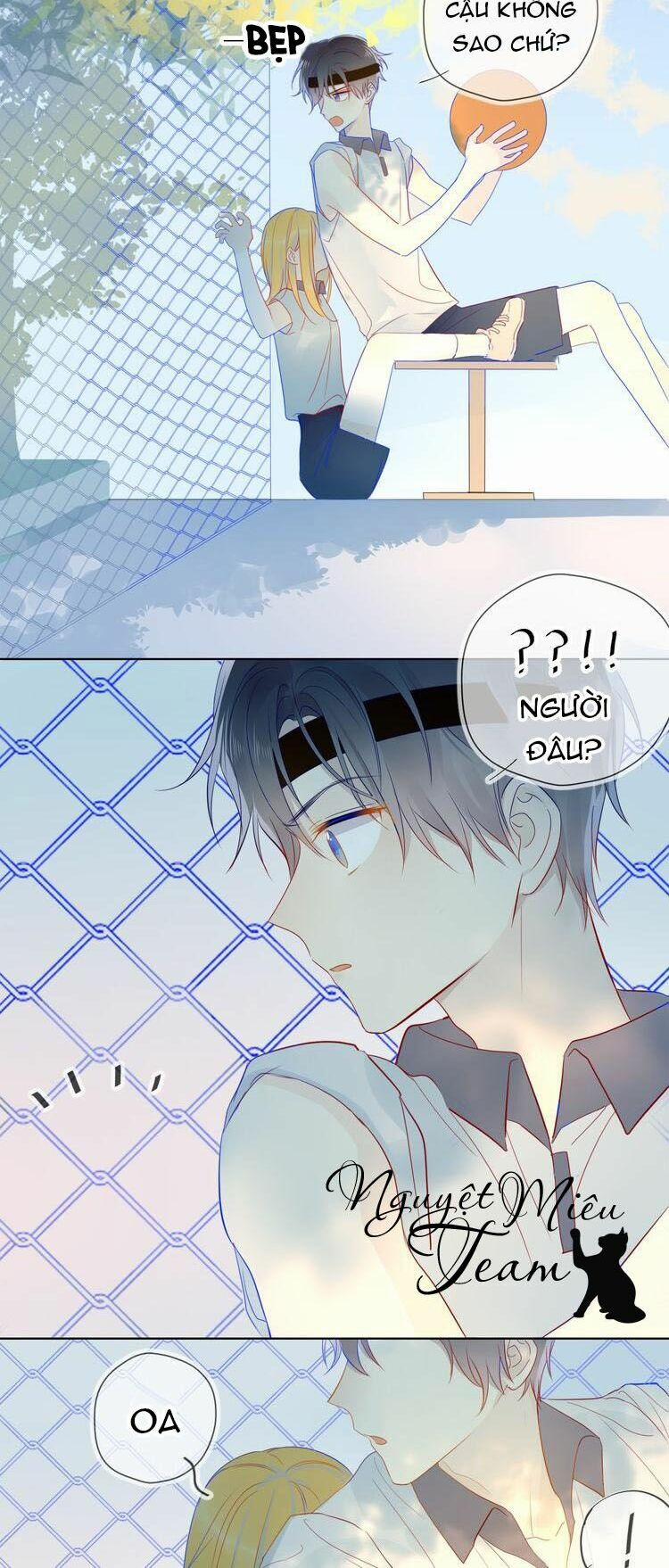 Ngôi Sao Cho Tôi 7 trang 17