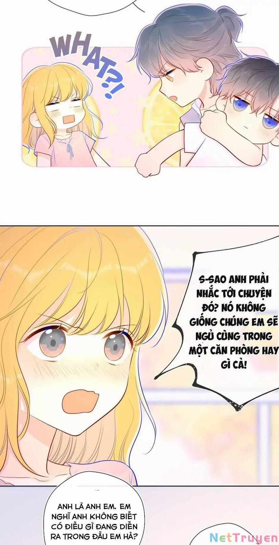 Ngôi Sao Cho Tôi 73 trang 15