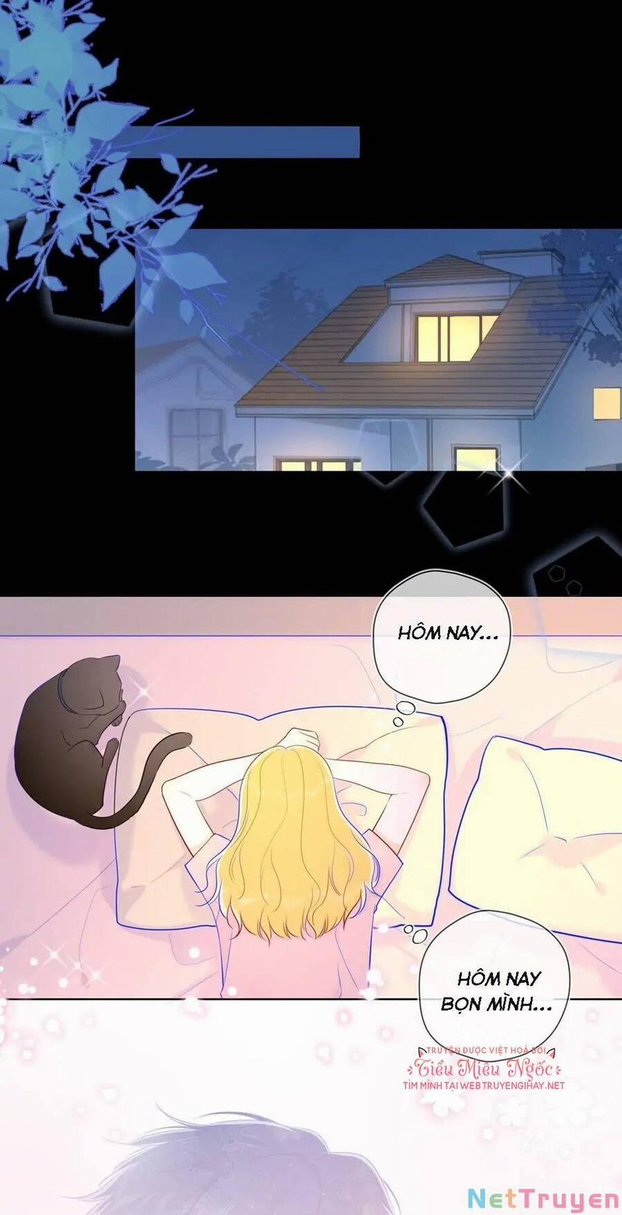 Ngôi Sao Cho Tôi 73 trang 17