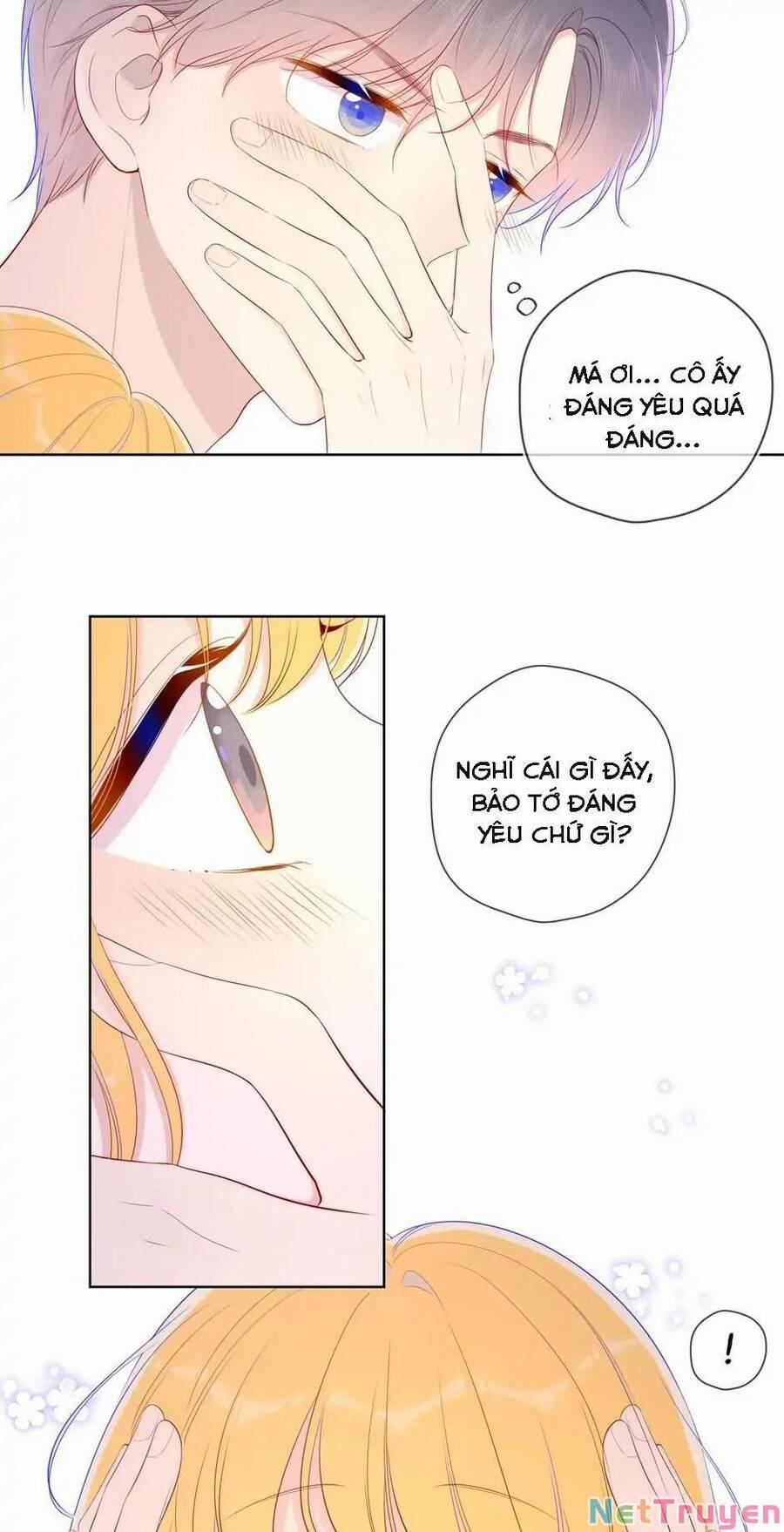 Ngôi Sao Cho Tôi 77 trang 3