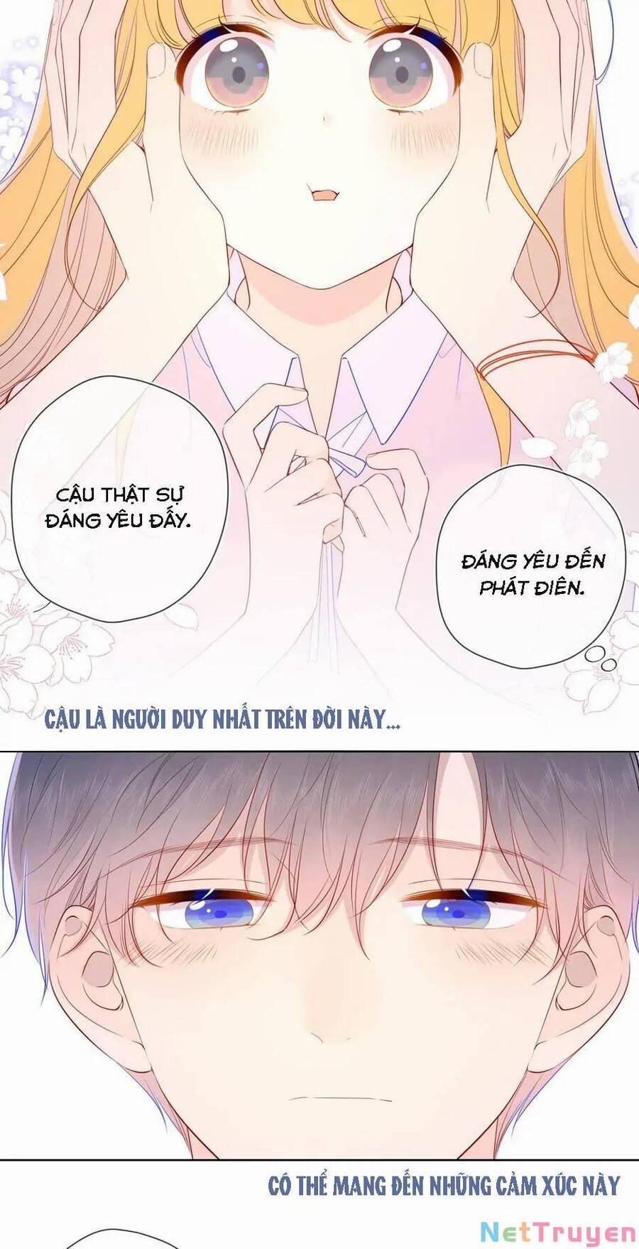 Ngôi Sao Cho Tôi 77 trang 4