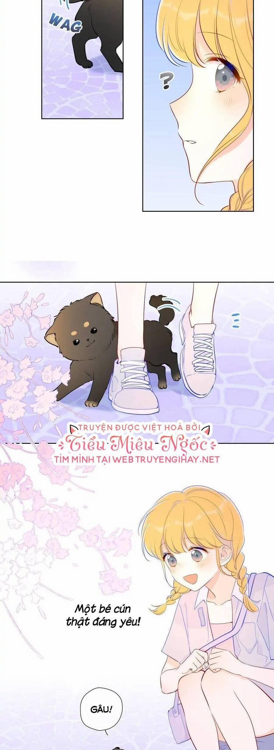 Ngôi Sao Cho Tôi 78 trang 7