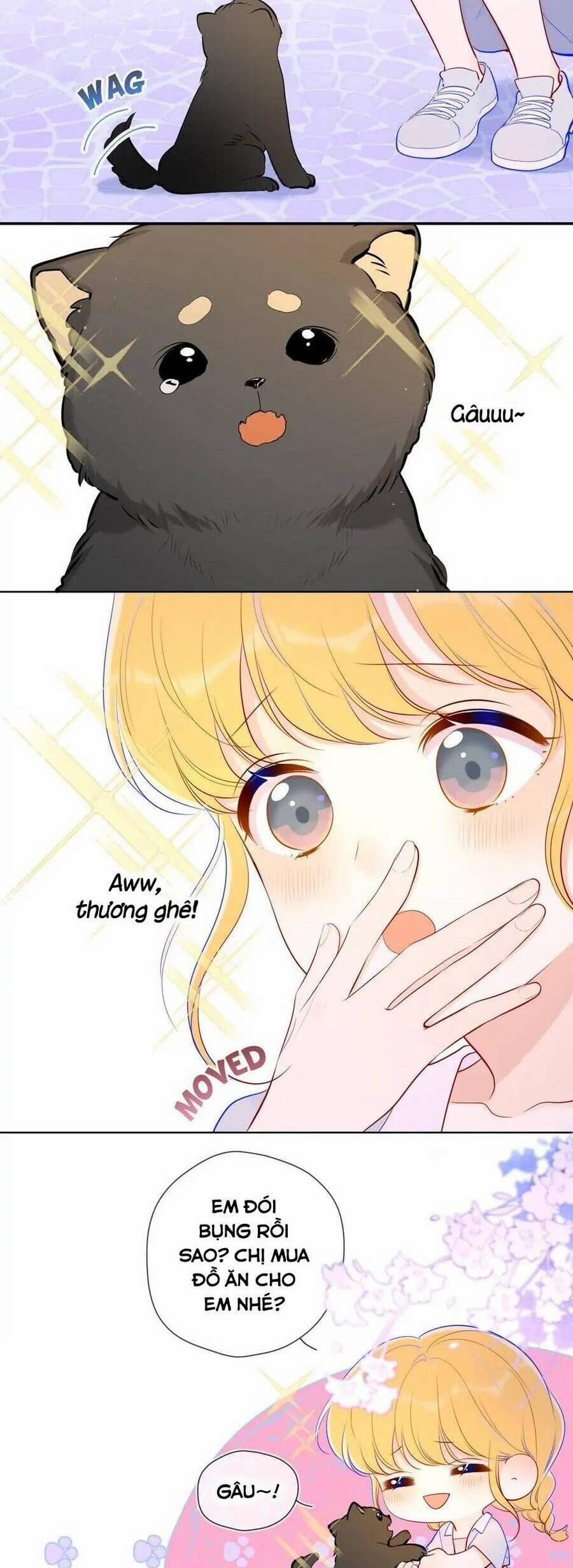 Ngôi Sao Cho Tôi 78 trang 8