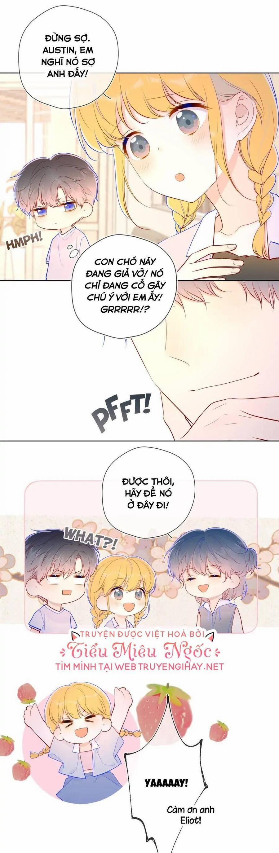 Ngôi Sao Cho Tôi 79 trang 11