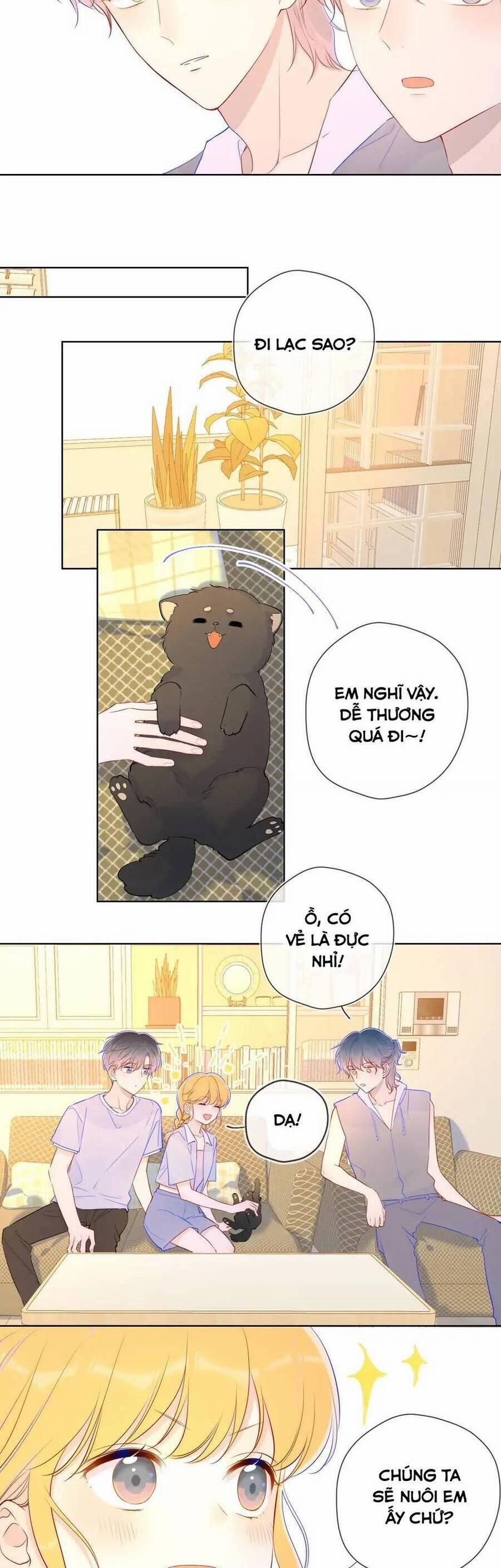 Ngôi Sao Cho Tôi 79 trang 8