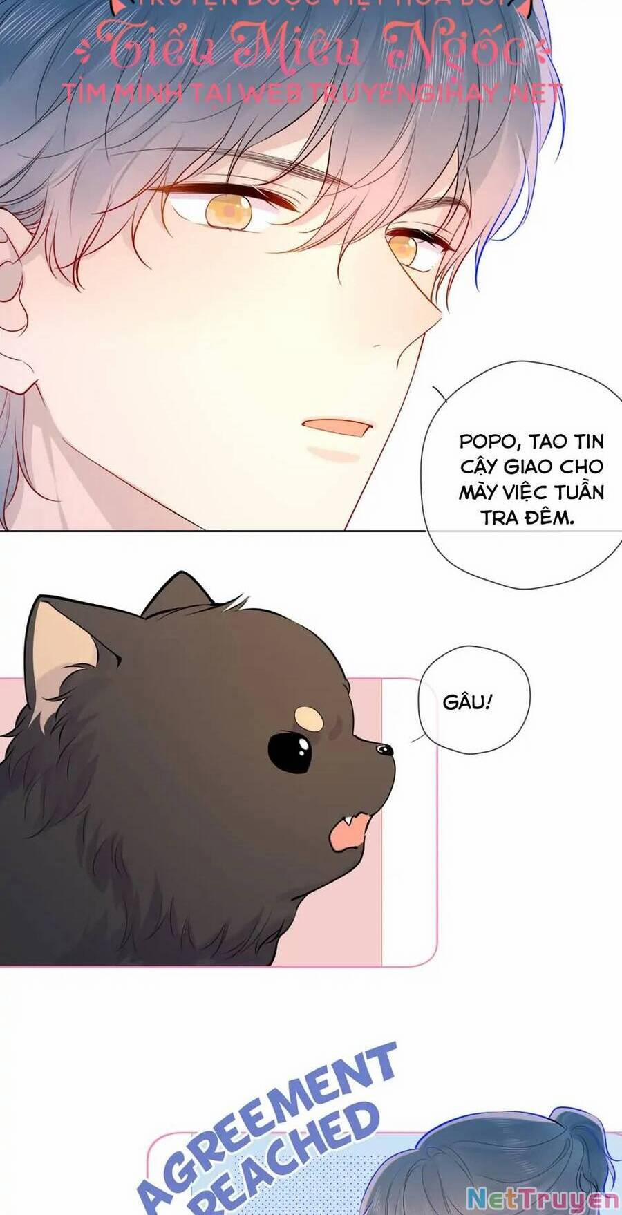 Ngôi Sao Cho Tôi 82 trang 7