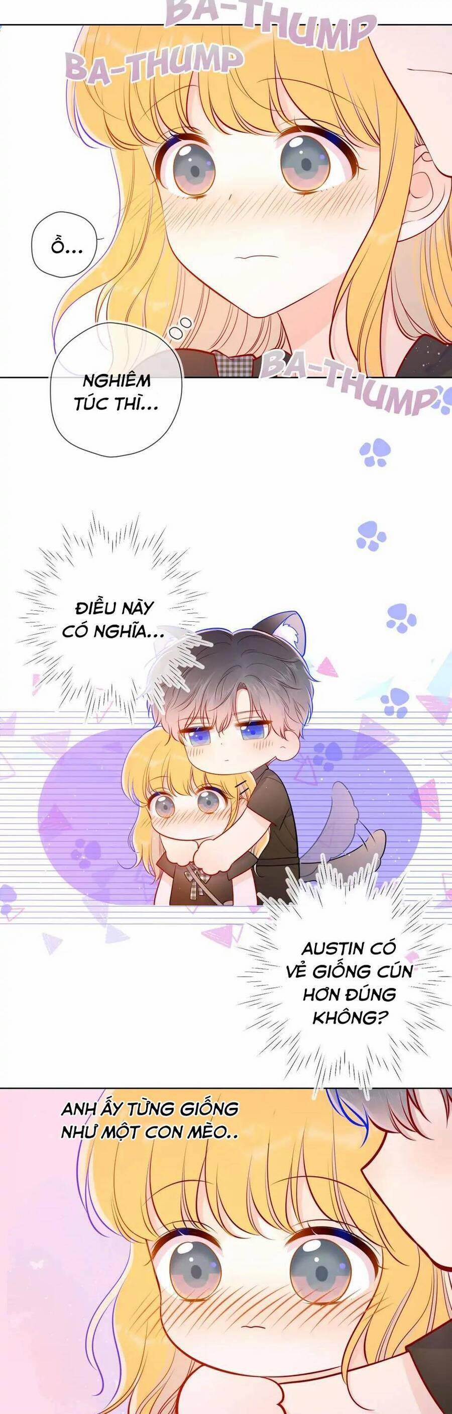 Ngôi Sao Cho Tôi 83 trang 5