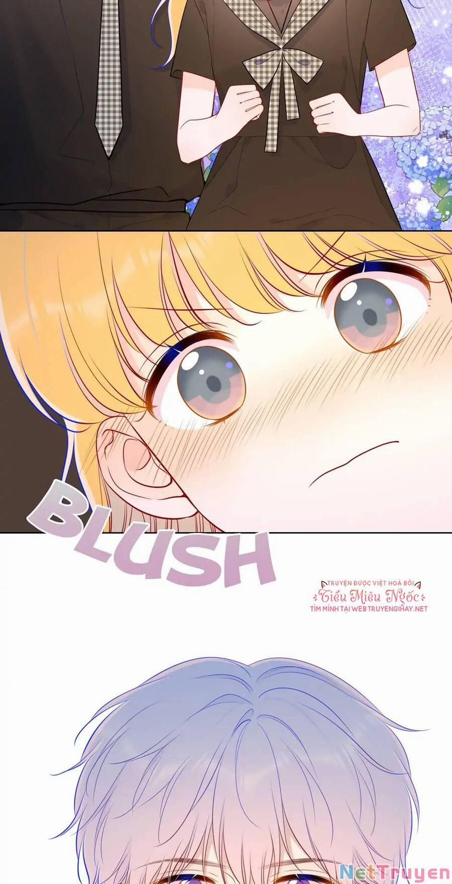 Ngôi Sao Cho Tôi 84 trang 20