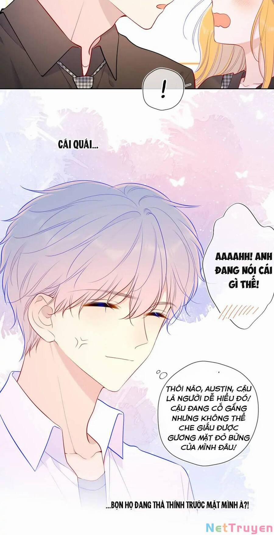 Ngôi Sao Cho Tôi 84 trang 23