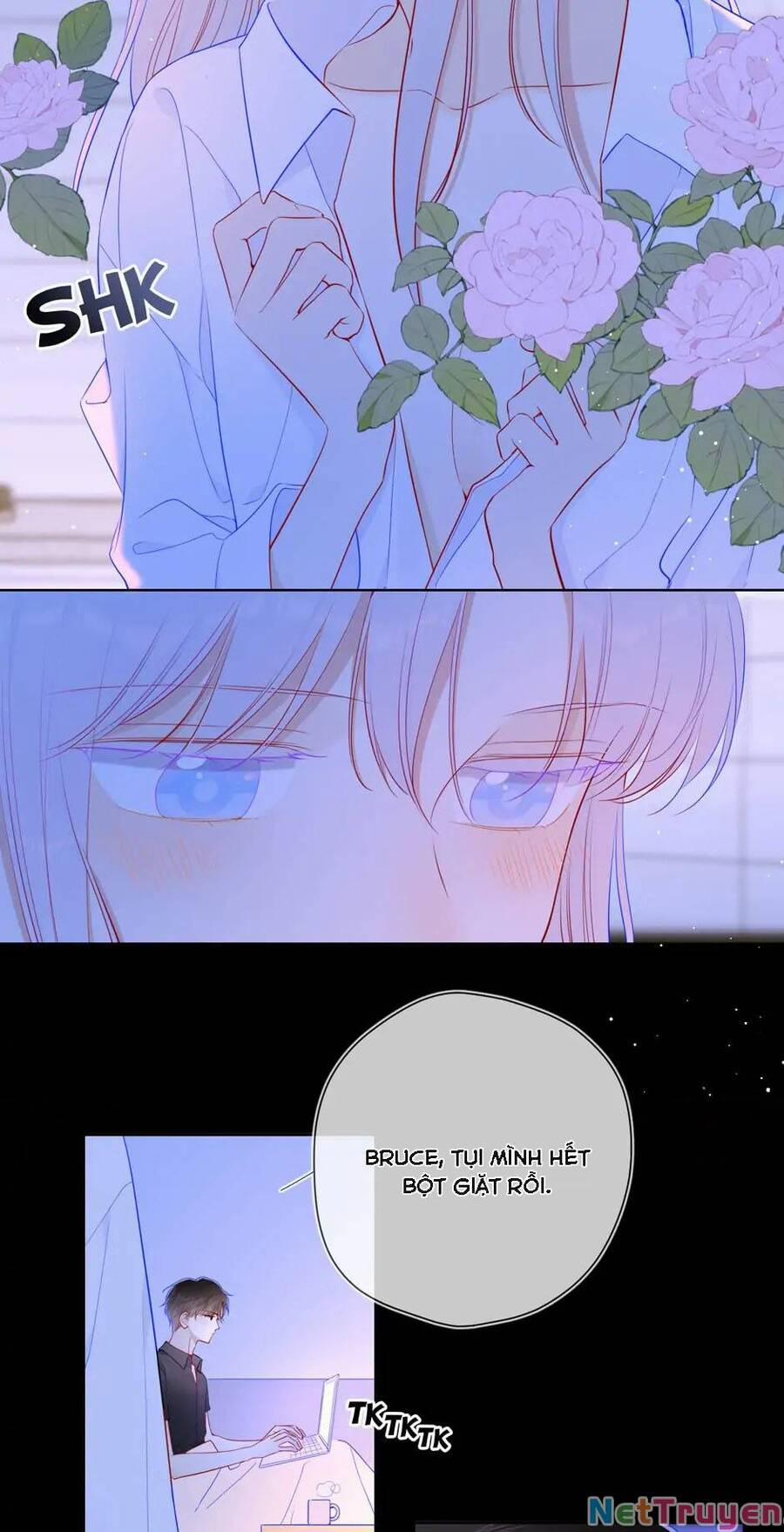 Ngôi Sao Cho Tôi 87 trang 15