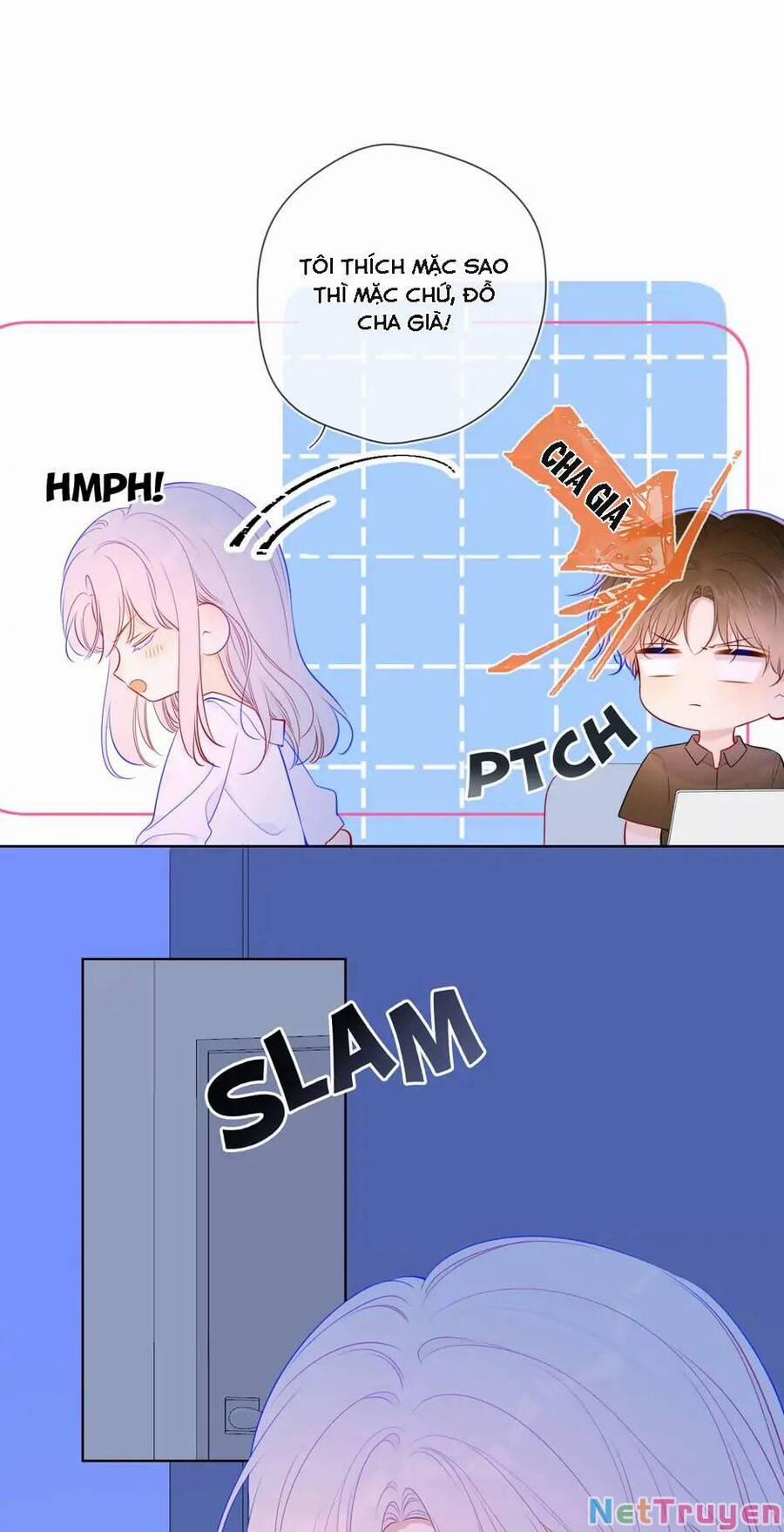 Ngôi Sao Cho Tôi 87 trang 19