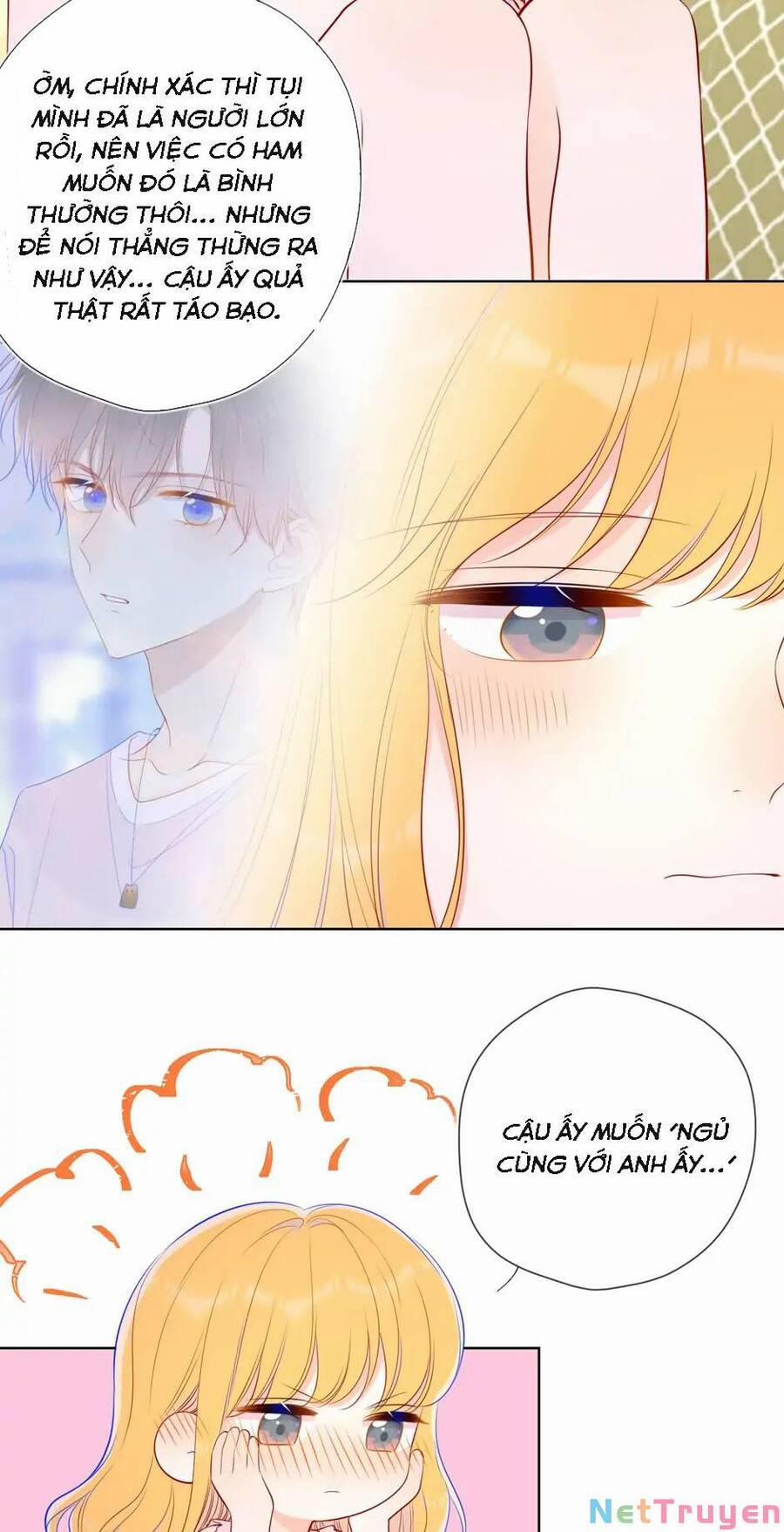 Ngôi Sao Cho Tôi 87 trang 22