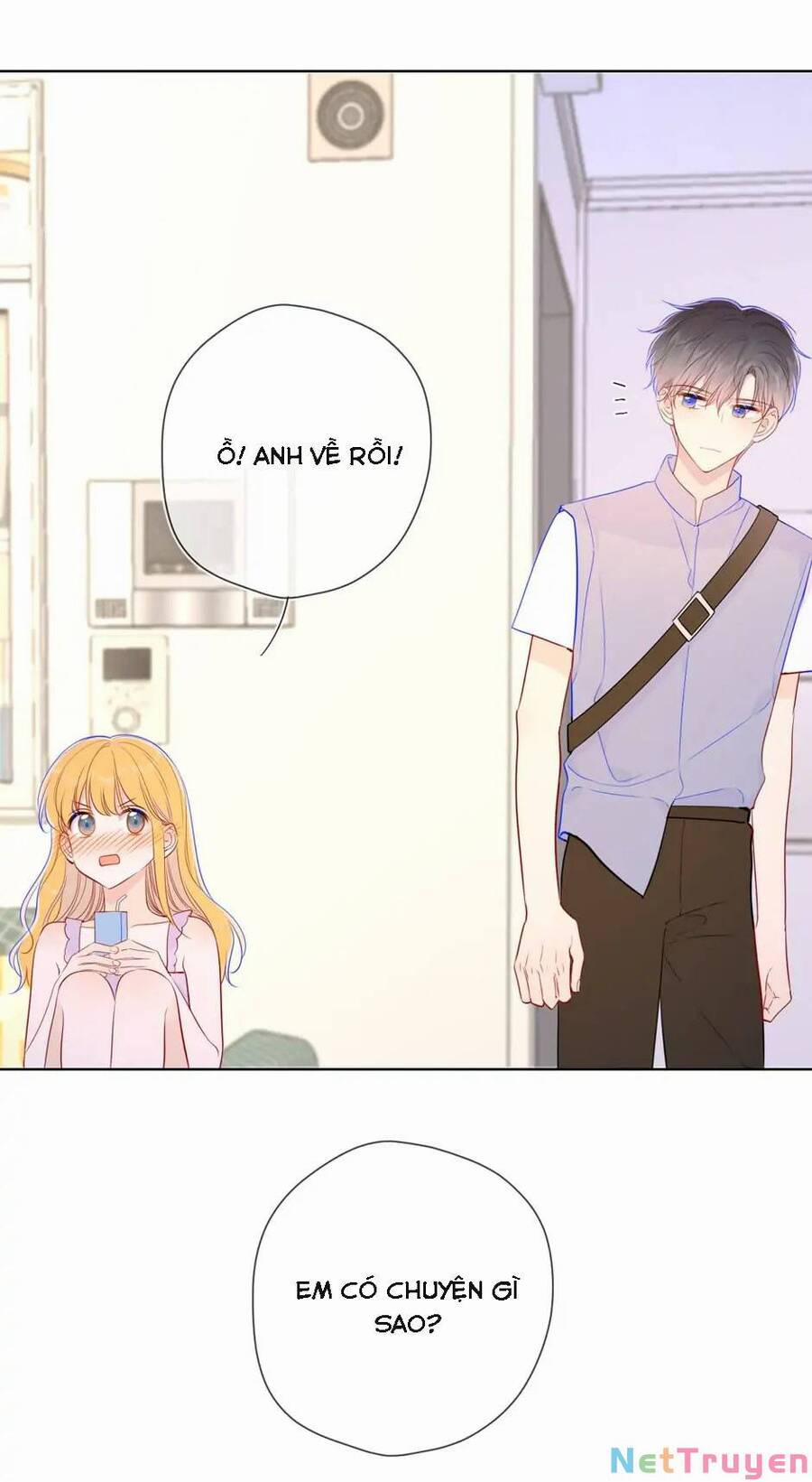 Ngôi Sao Cho Tôi 87 trang 24