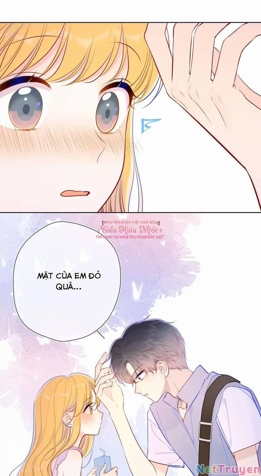 Ngôi Sao Cho Tôi 87 trang 25