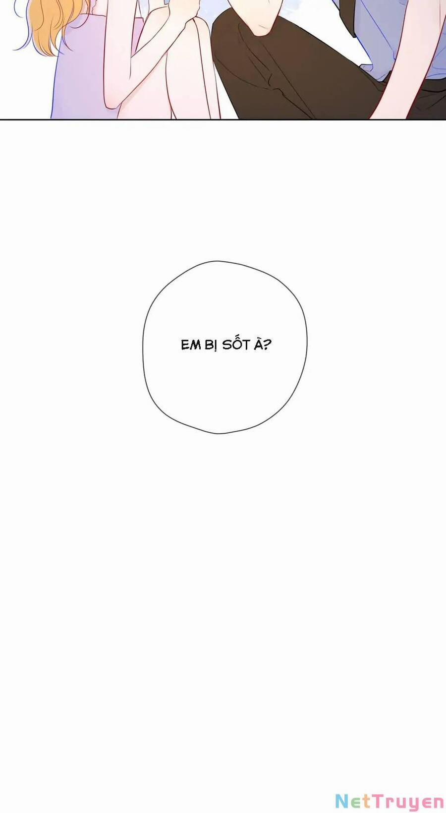 Ngôi Sao Cho Tôi 87 trang 26