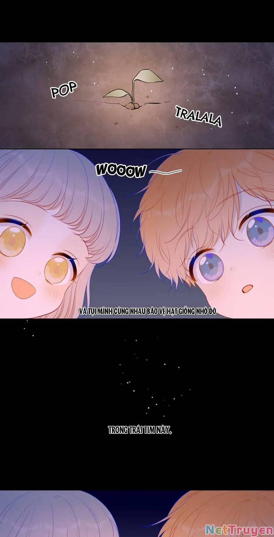 Ngôi Sao Cho Tôi 92 trang 5