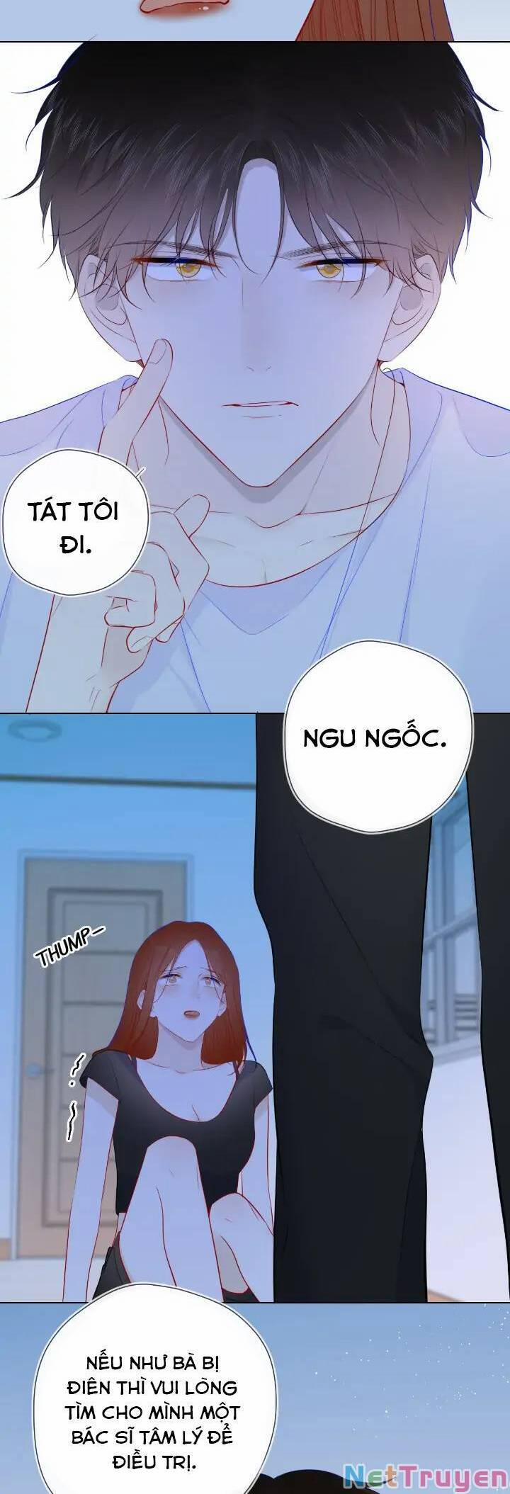 Ngôi Sao Cho Tôi 95 trang 3