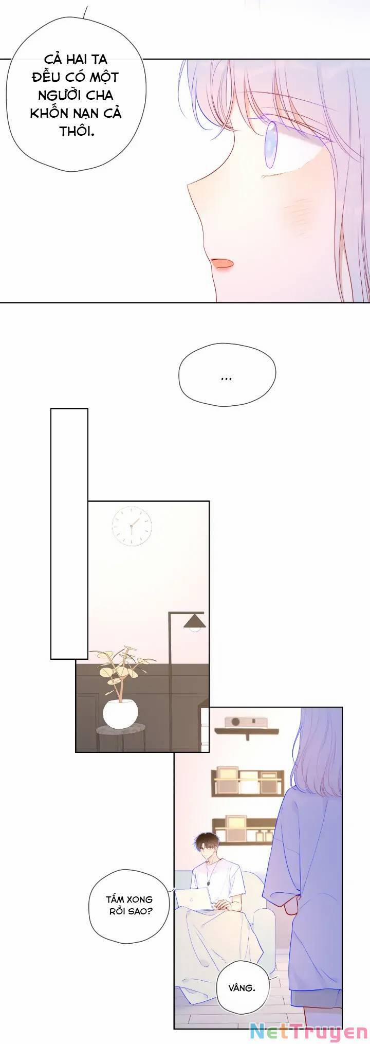 Ngôi Sao Cho Tôi 96 trang 11