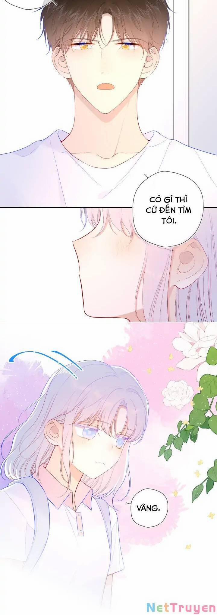 Ngôi Sao Cho Tôi 96 trang 15