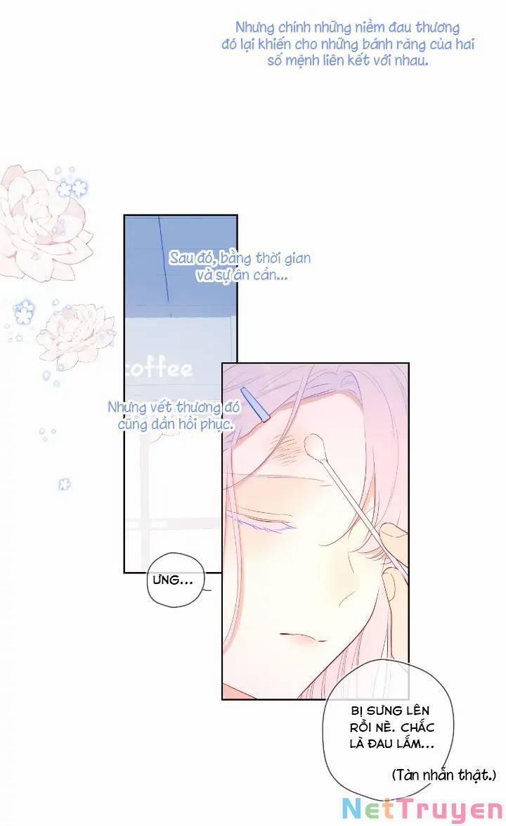 Ngôi Sao Cho Tôi 96 trang 17