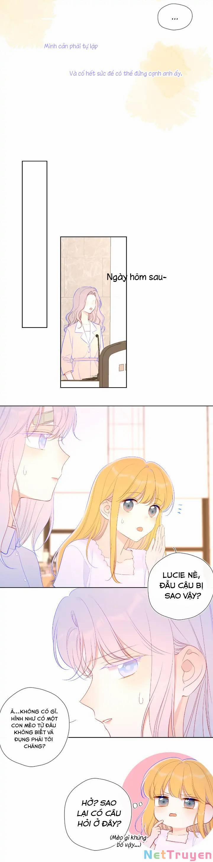 Ngôi Sao Cho Tôi 96 trang 20