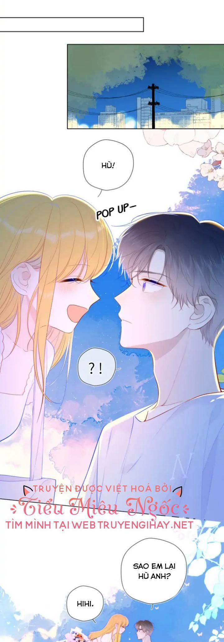 Ngôi Sao Cho Tôi 97 trang 12