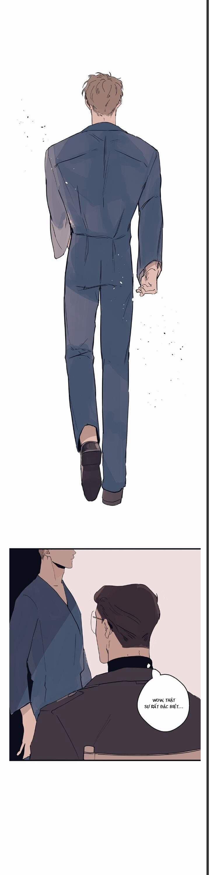 Ngôi Sao Trên Sàn Diễn 1 trang 15