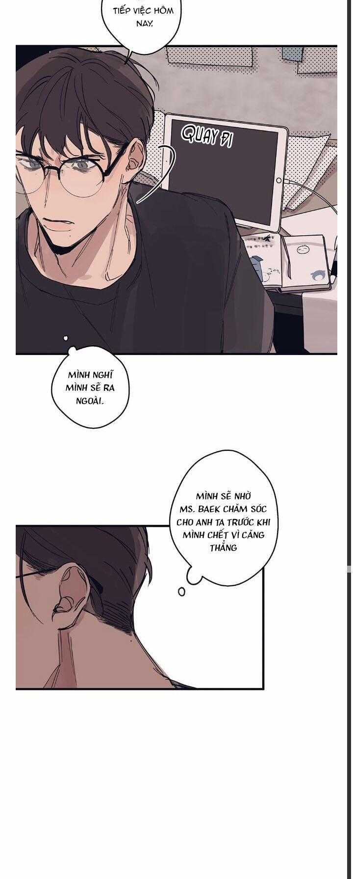 Ngôi Sao Trên Sàn Diễn 4 trang 13