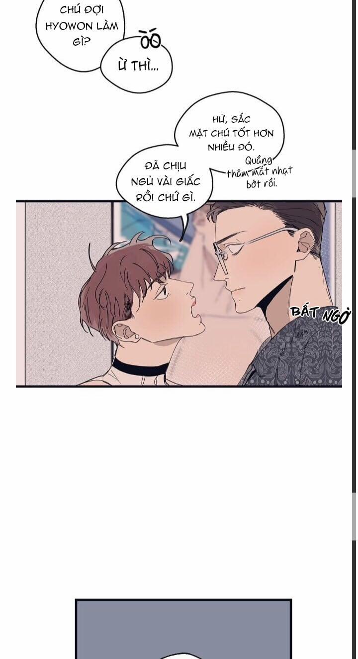 Ngôi Sao Trên Sàn Diễn 8 trang 19