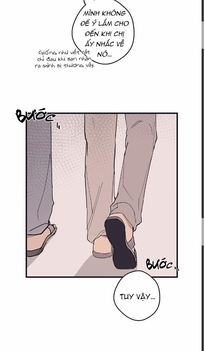 Ngôi Sao Trên Sàn Diễn 8 trang 31