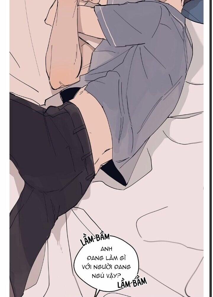 Ngôi Sao Trên Sàn Diễn 8 trang 4