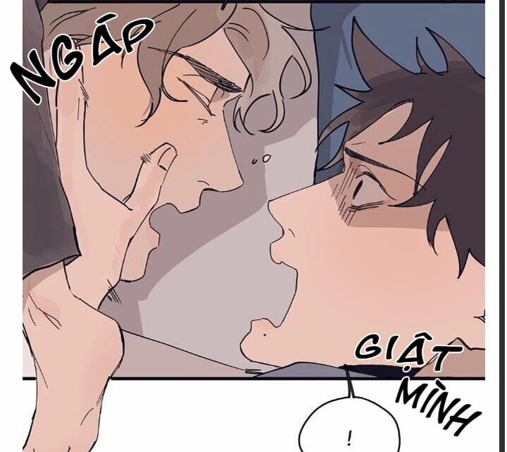 Ngôi Sao Trên Sàn Diễn 8 trang 5