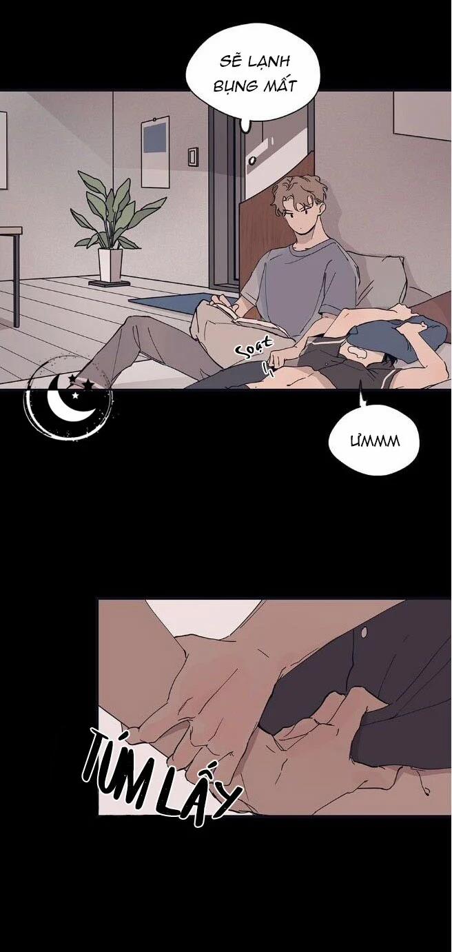 Ngôi Sao Trên Sàn Diễn 9 trang 6