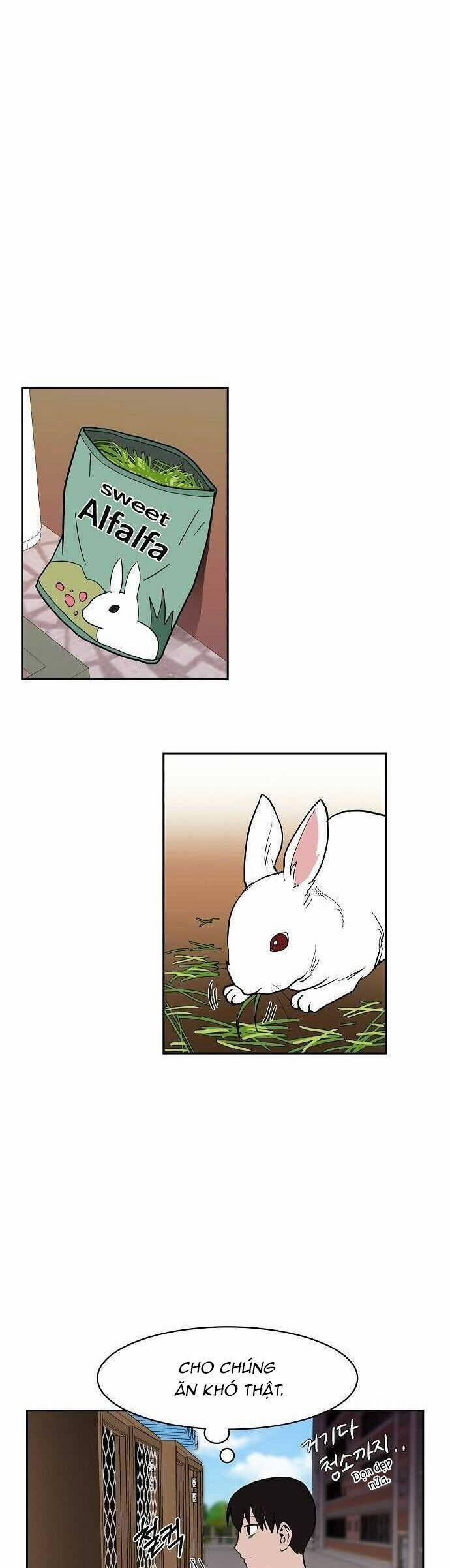 Ngọn Lửa Xanh 5 trang 36