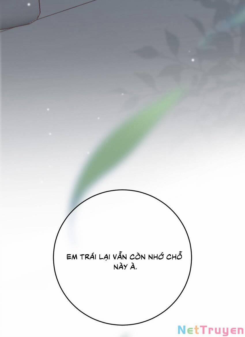 Ngôn Tiếu Loan Loan 8 trang 40