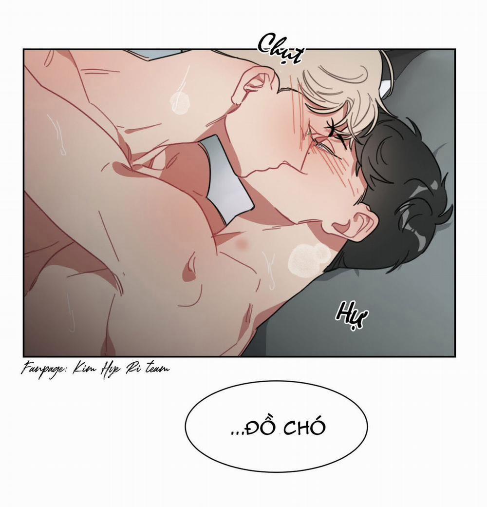 Ngọt Ngào Và Lạnh Lùng 5.1 trang 18