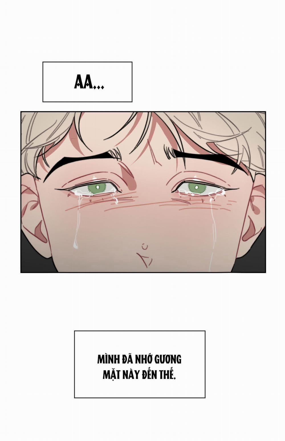 Ngọt Ngào Và Lạnh Lùng 5.1 trang 4