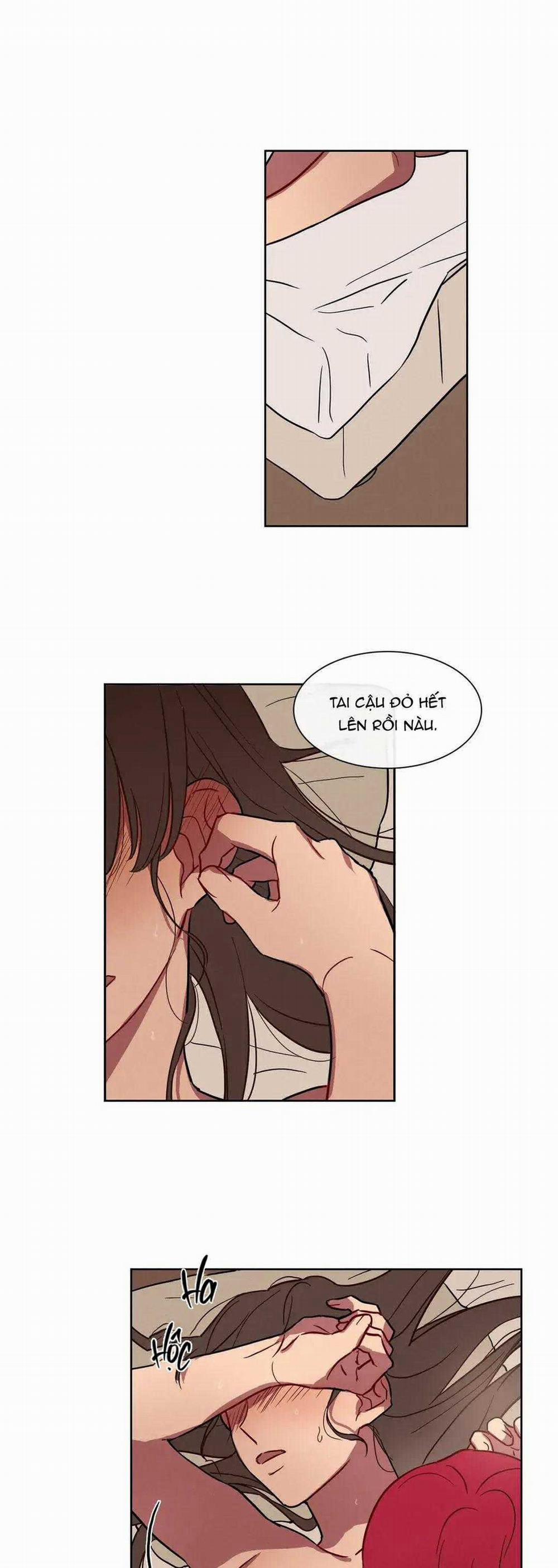 Ngủ Ngon Nhé, Lọ Lem 35 trang 3