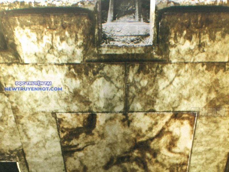 Ngủ Say Vạn Cổ: Xuất Thế Quét Ngang Chư Thiên 1 trang 2