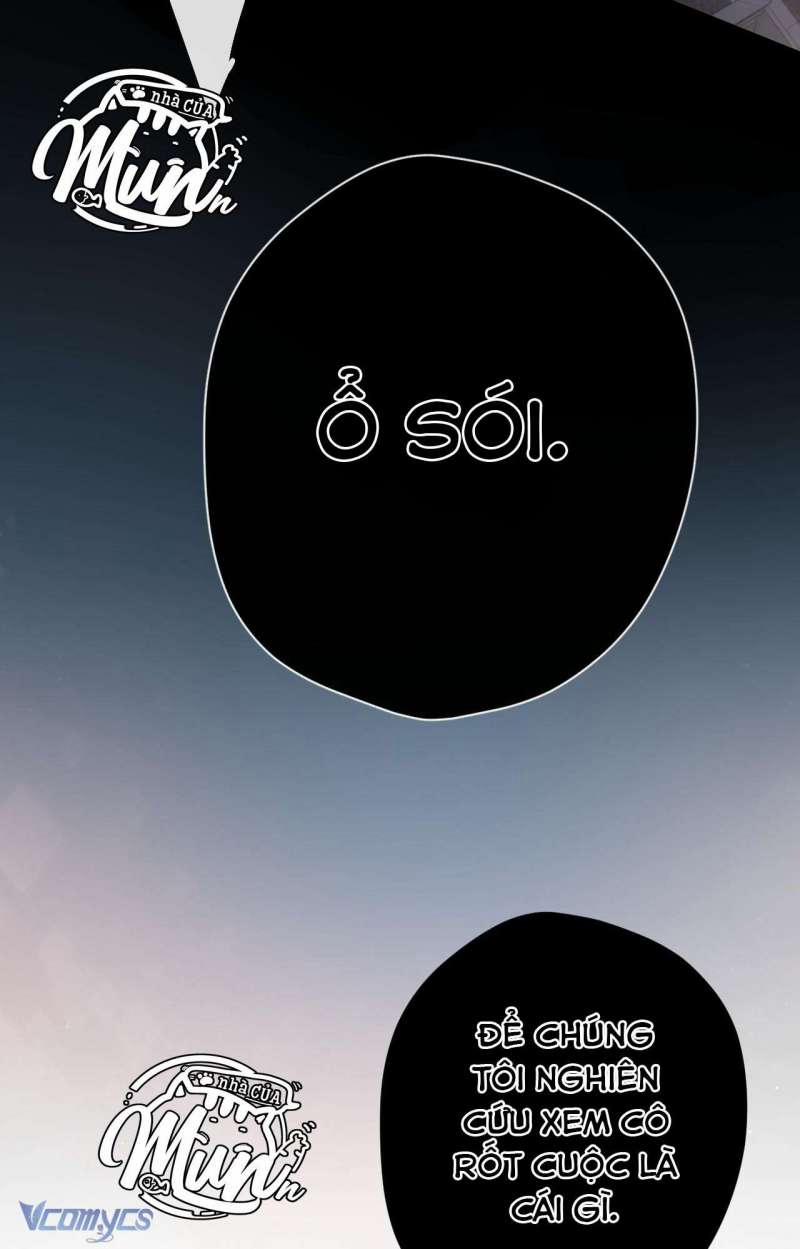 Ngược Dòng Mùa Xuân 5 trang 37