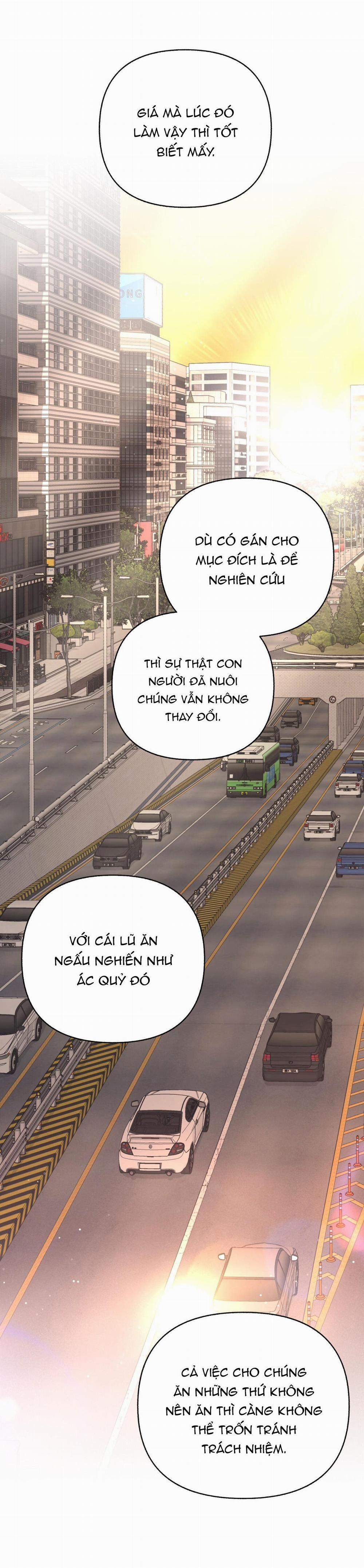 Người Bình Thường Cấp A 51 trang 7