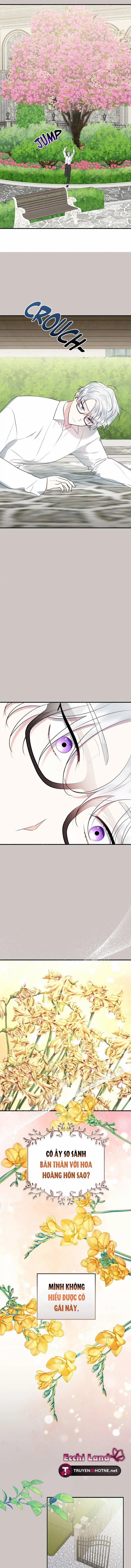 Người Chồng Thiên Thần Của Tôi Thật Ra Là Ác Quỷ 21.1 trang 2