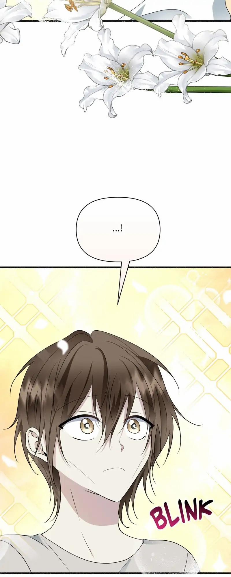 Người Chồng Thiên Thần Của Tôi Thật Ra Là Ác Quỷ 24.2 trang 11