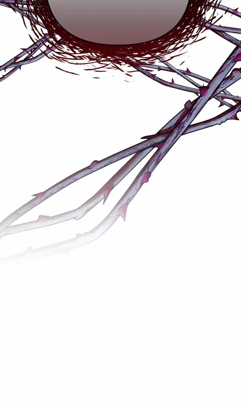 Người Chồng Thiên Thần Của Tôi Thật Ra Là Ác Quỷ 24.2 trang 13