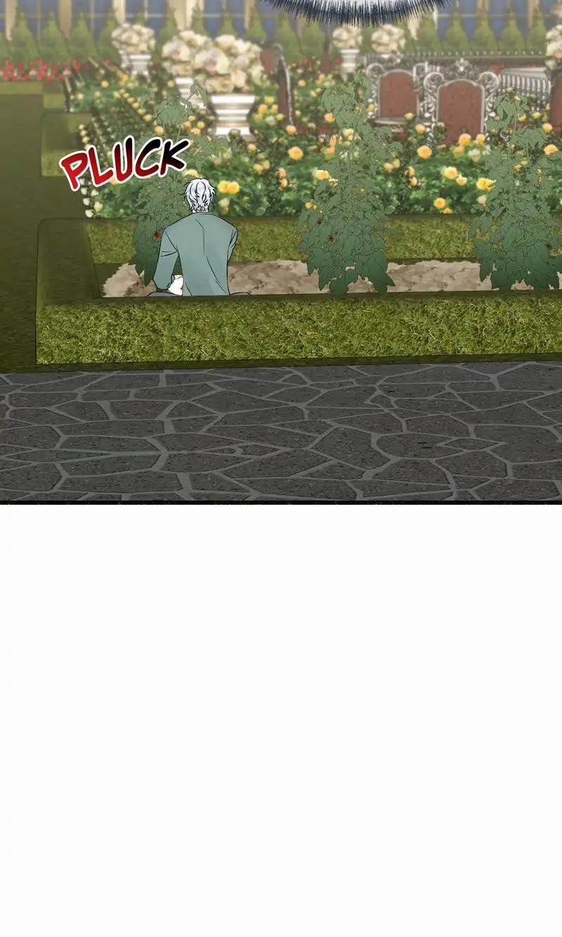 Người Chồng Thiên Thần Của Tôi Thật Ra Là Ác Quỷ 32.1 trang 14