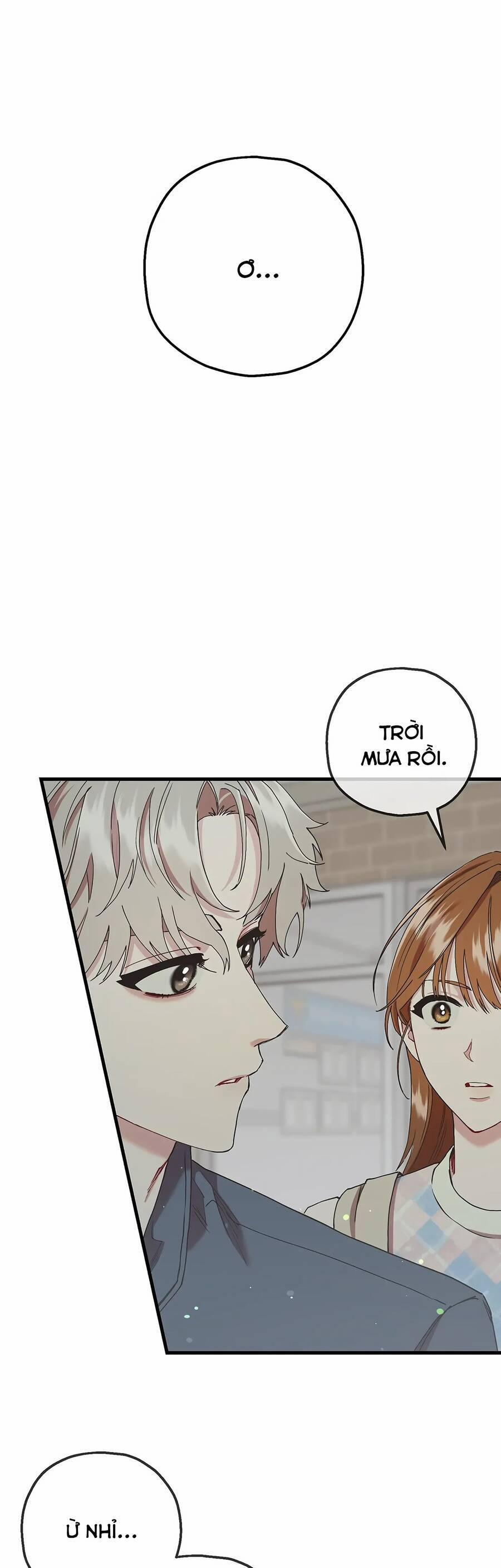 Người Chồng Thứ Hai Của Tôi 59 trang 20