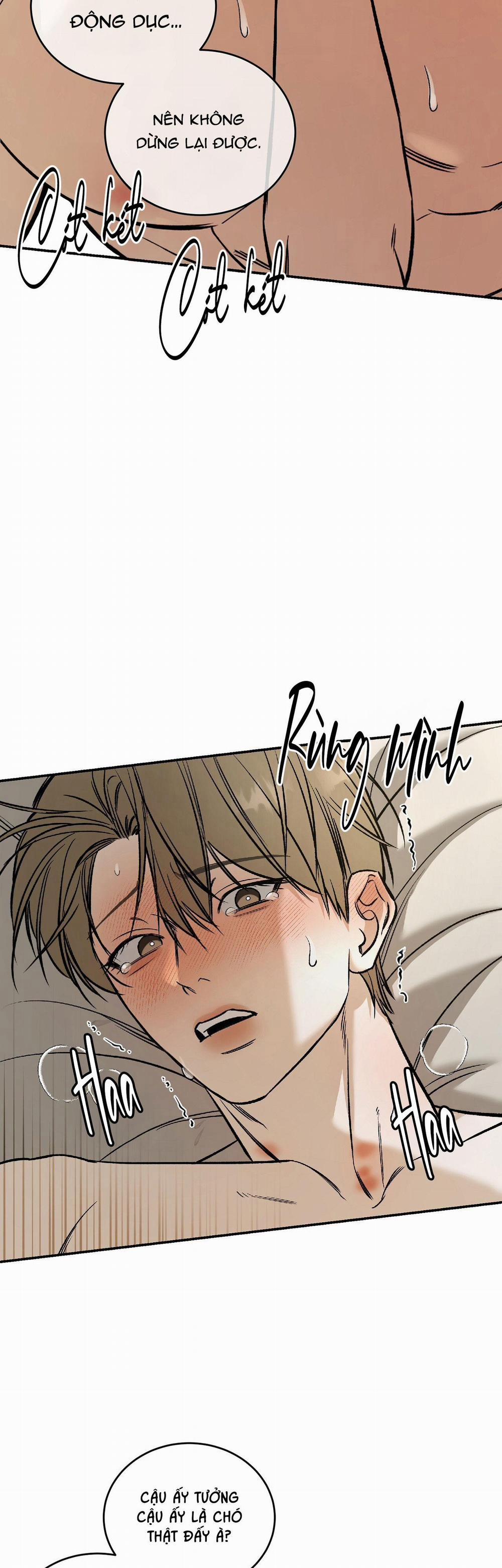Người Đàn Ông Cho Em Tất Cả 33 H+++ trang 26