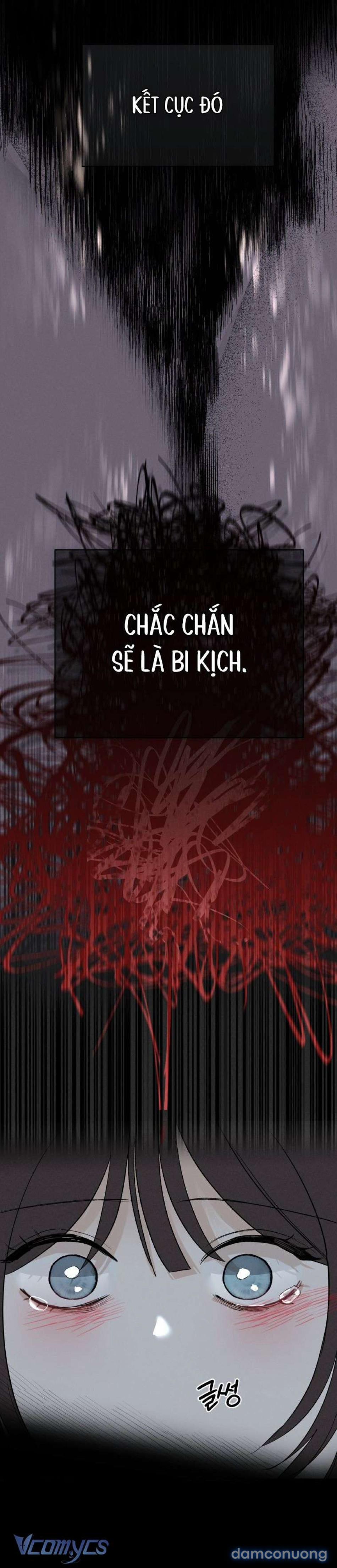 Người Đàn Ông Của Kẻ Khác 41 trang 9