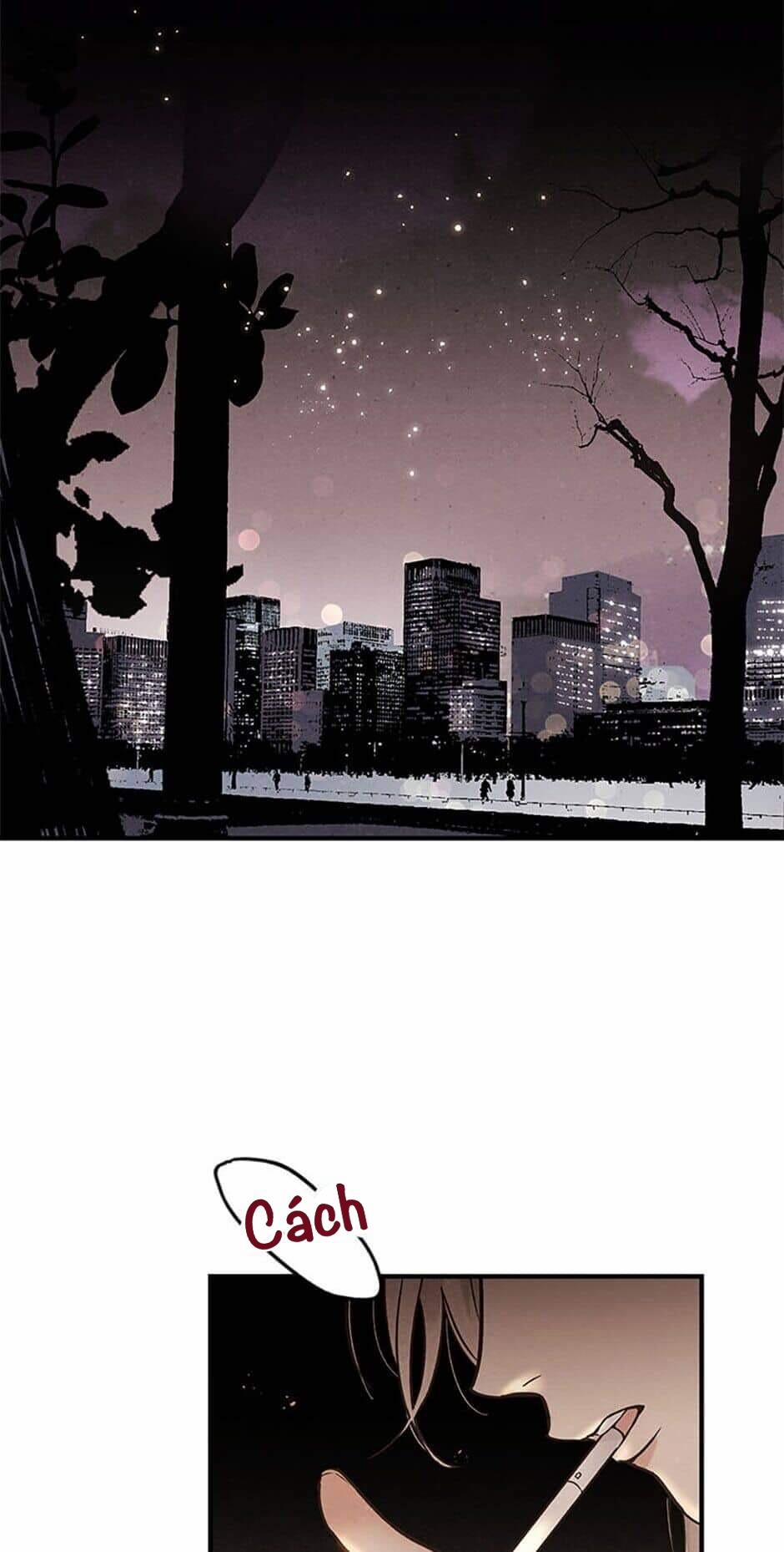 Người Đàn Ông Không Thể Nếm Thử 23 trang 12