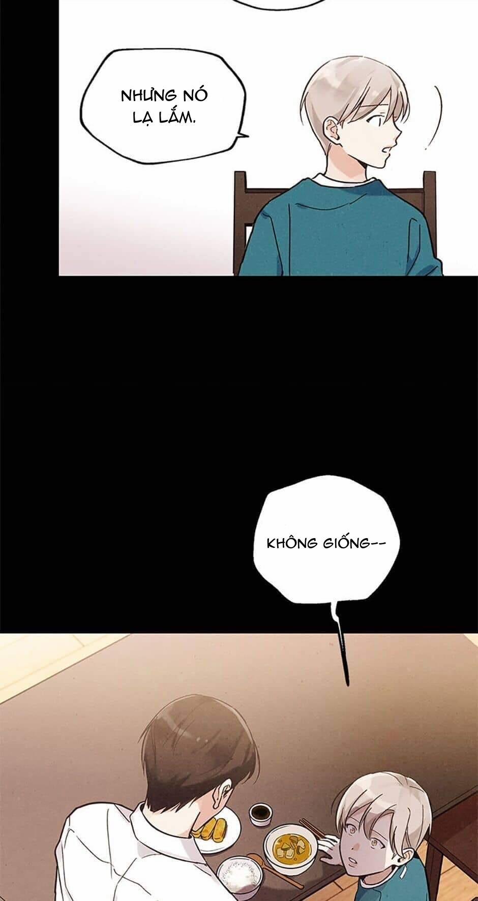 Người Đàn Ông Không Thể Nếm Thử 23 trang 19